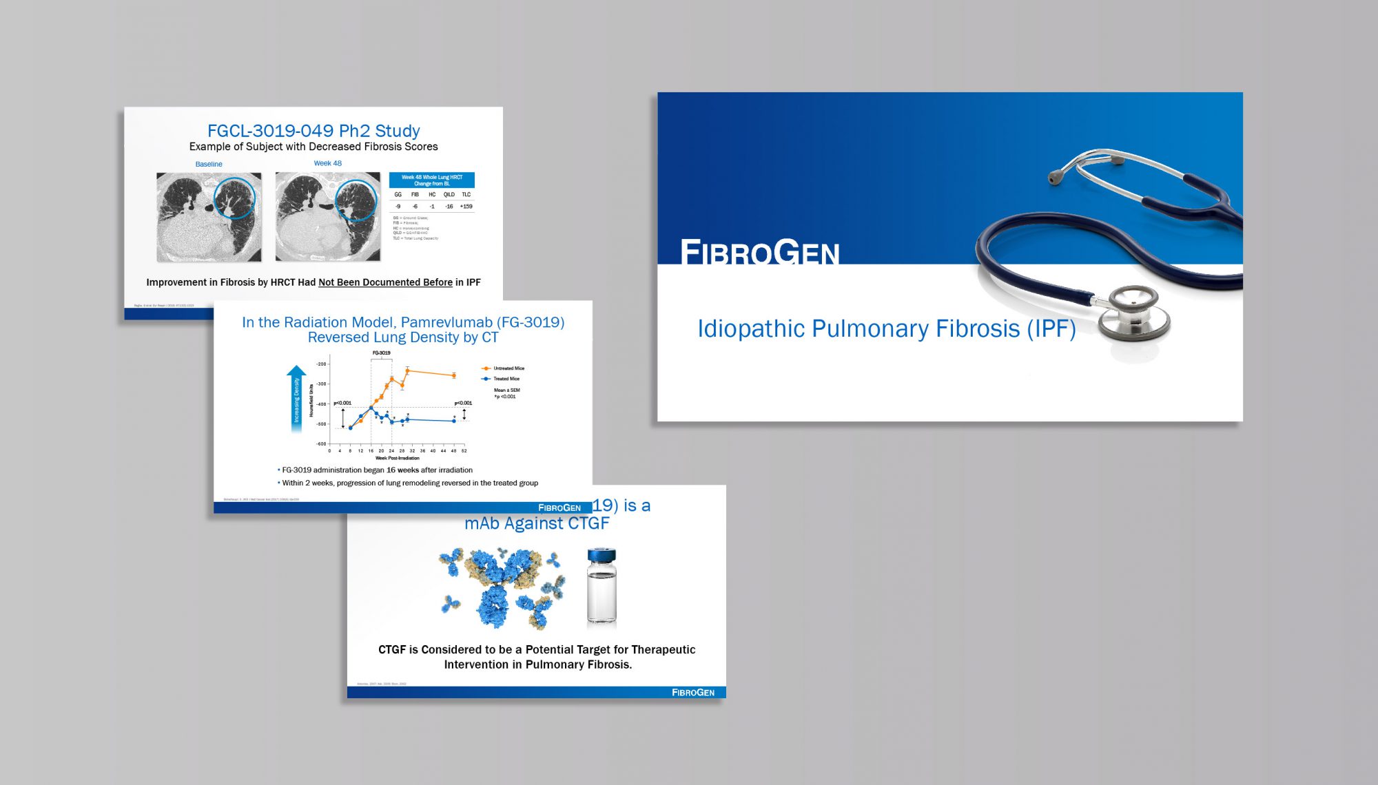 portfolio-PPT-Oct20-v1_fibrogen