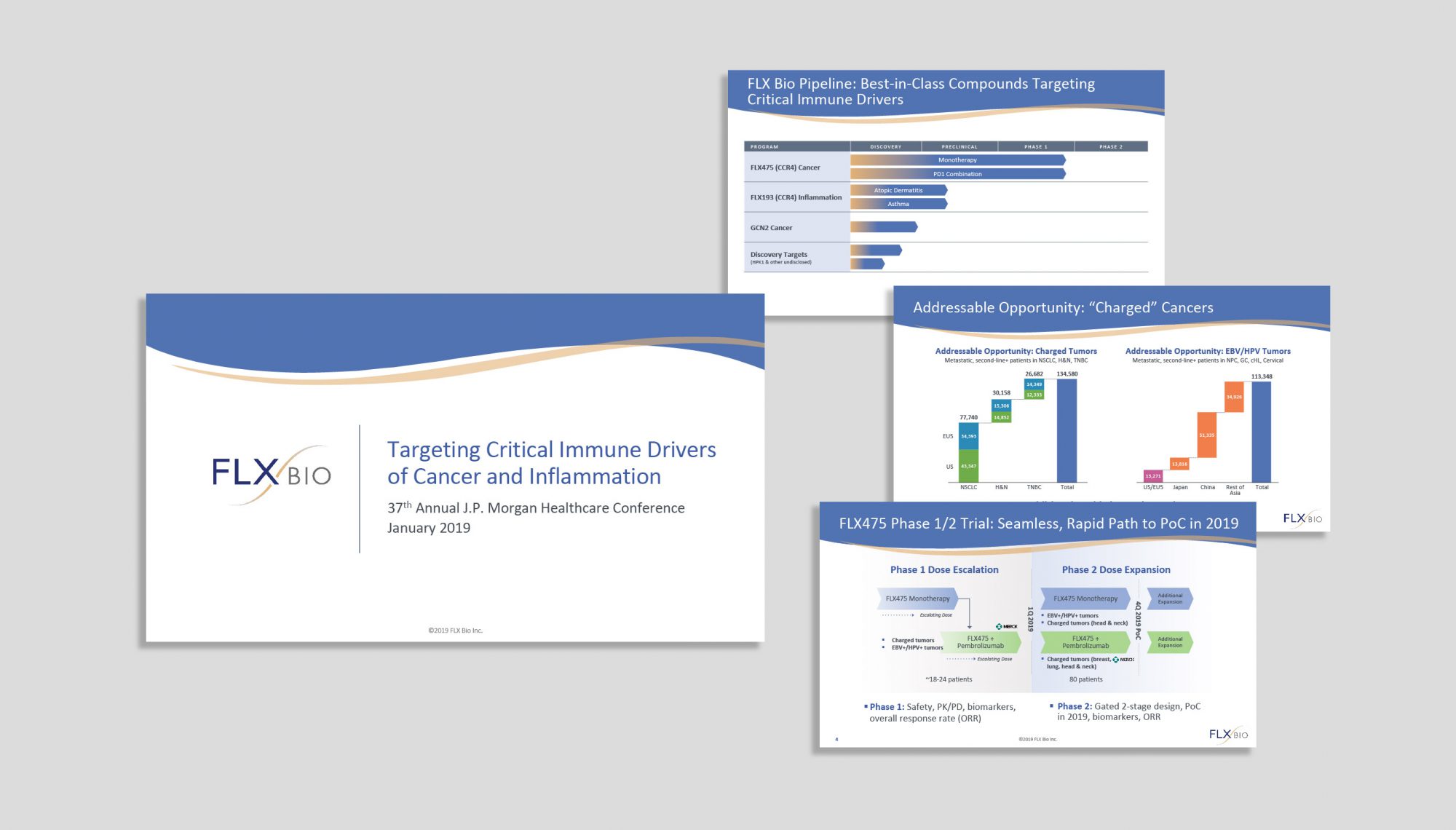 portfolio-PPT-Oct20-v1_flx