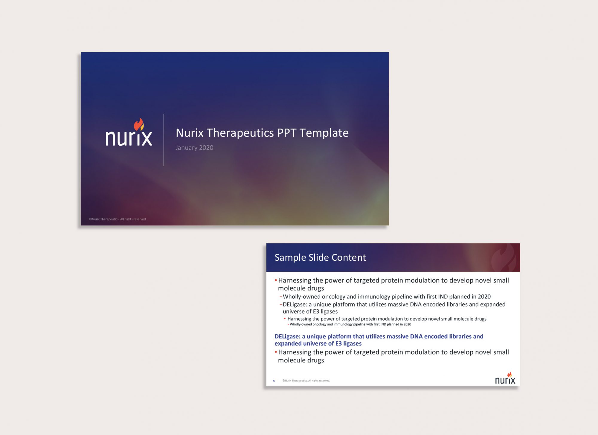 portfolio-PPT-Oct20-v1_nurix