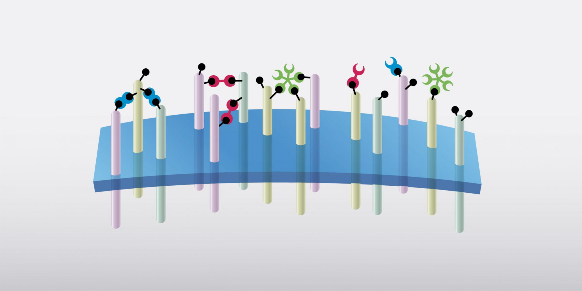 portfolio-graphics-Oct20-v1_lajolla