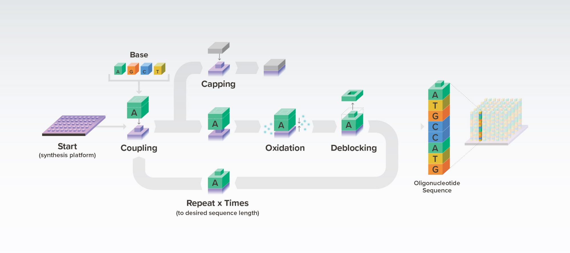 portfolio-graphics-Oct20-v1_twist